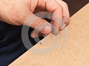 Nails, screws, hammer on a wooden background