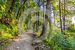 Nainital