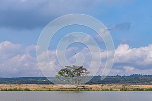 Nairobi National Park Landscapes Lakes River Ponds Dam Fields Meadows Cloud Sky In Kenya East African