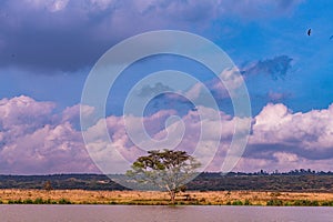 Nairobi National Park Landscapes Lakes River Ponds Dam Fields Meadows Cloud Sky In Kenya East African