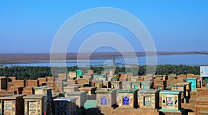 Najaf muslim cemetery, Iraq