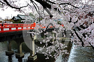 Nakabashi Bridge, Takayama, Japan