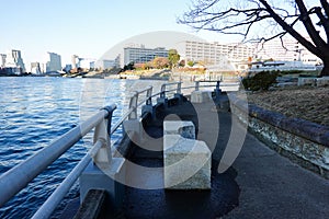 Nakanoshima Park in Japan Tokyo