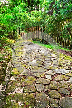 Nakasendo Ancient Trailway in Japan photo