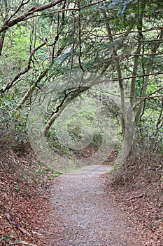 Nakasendo trail, Japan