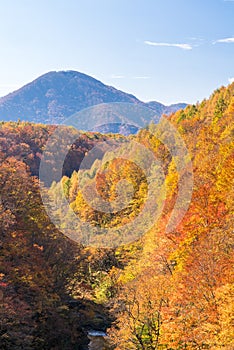 Nakatsugawa Fukushima Autumn