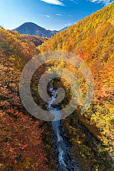 Nakatsugawa Fukushima Autumn