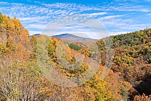Nakatsugawa Fukushima Autumn