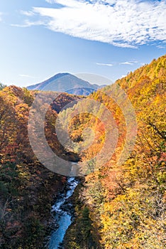 Nakatsugawa Fukushima Autumn