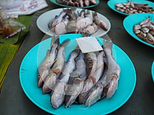 Naked catfishes for sale in the local market