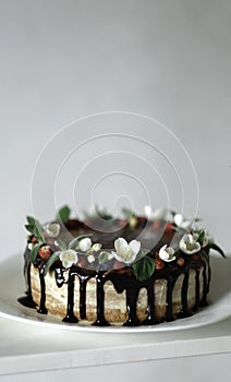 Naked drip cake with chocolate, decorated with strawberries, jasmine flowers and honeysuckle on white wooden table