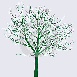 Naked green tree