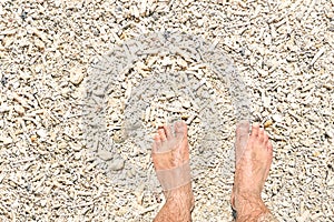 Naked human barefoot on coral beach background on vacations