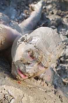 Naked man mud