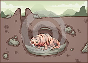 Naked mole rat smiling in it`s burrow