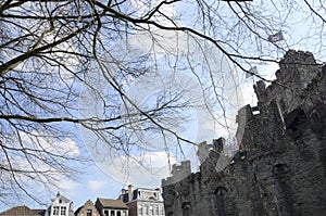 Naked tree and Ghent castle