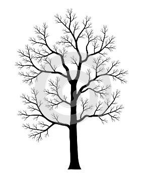 Naked tree. Silhouette of dead trees isolated on white background. Black and white. vector illustration