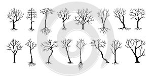Naked trees silhouettes. Black bushes and trucks with bare branches. Winter or autumn plants with roots. Cold season