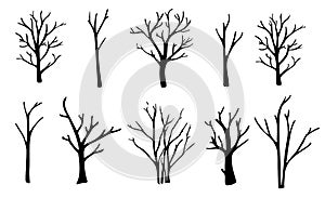 Naked trees silhouettes set. Hand drawn isolated illustrations.