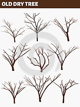 Naked trees silhouettes set, old various dry trees