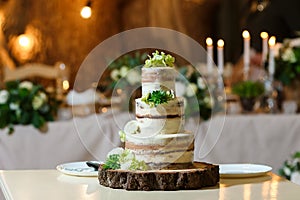 Naked wedding cake, decorated with fresh flowers, greenery. Delicious dessert at wedding banquet