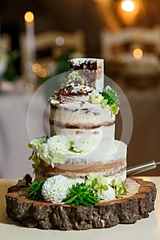 Naked wedding cake, decorated with fresh flowers, greenery. Delicious dessert at wedding banquet