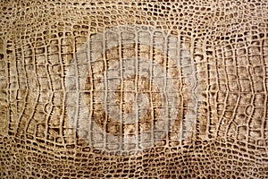 Nakeskin or crocodile texture