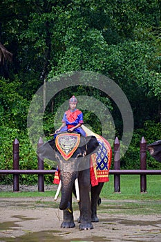 NAKORNPRATHOM THAILAND : October 6, 2022 : photo of elephant show at Samphran elephant ground & zoo, showing how the dynasty use