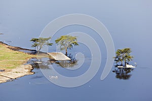 Nakuru National Park Landscape, Kenya