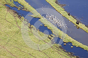 Nakuru National Park Landscape, Kenya