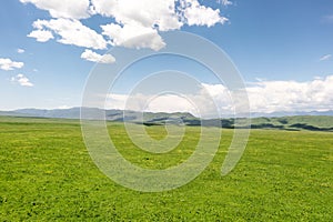 Nalati grassland with the blue sky