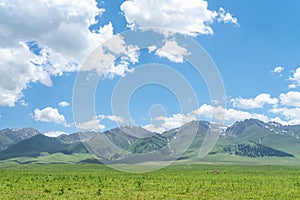 Nalati grassland with the blue sky