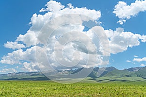 Nalati grassland with the blue sky