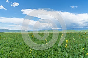 Nalati grassland with the blue sky