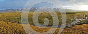 Nalati grassland with snow mountains