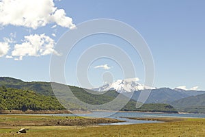 Nalcas National Park, Chile.