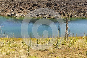 Nalcas National Reserve, Chilean Patagonia, Chile.