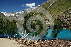 Naltar lake photo