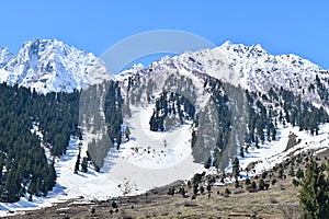 Naltar Valley, Highest Ski Resort in Pakistan