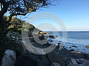 Namaste moment from Perkins Cove