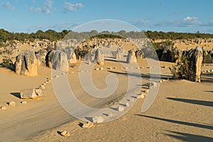 Nambung National Park, Western Australia