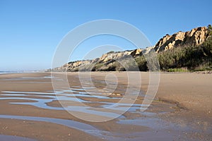 Dunes of Playa de Rompeculos beach in Mazagon, Spain photo