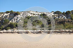 Dunes at Playa de Rompeculos beach in Mazagon, Spain photo