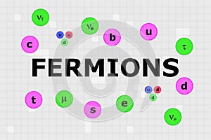 Name of major group in Standard Model called fermions in the center