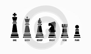 Named chess piece. Isolated vector sign symbol