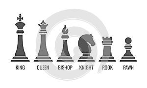 Named chess piece vector icons set
