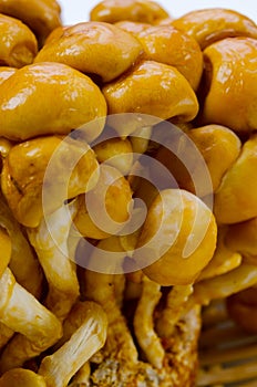 Nameko mushroom