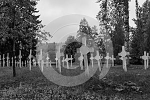 Nameless graves with rows of white wooden cross photo