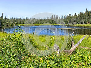 Nameless Lake besides the McCarthy road photo