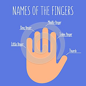 Names of the fingers